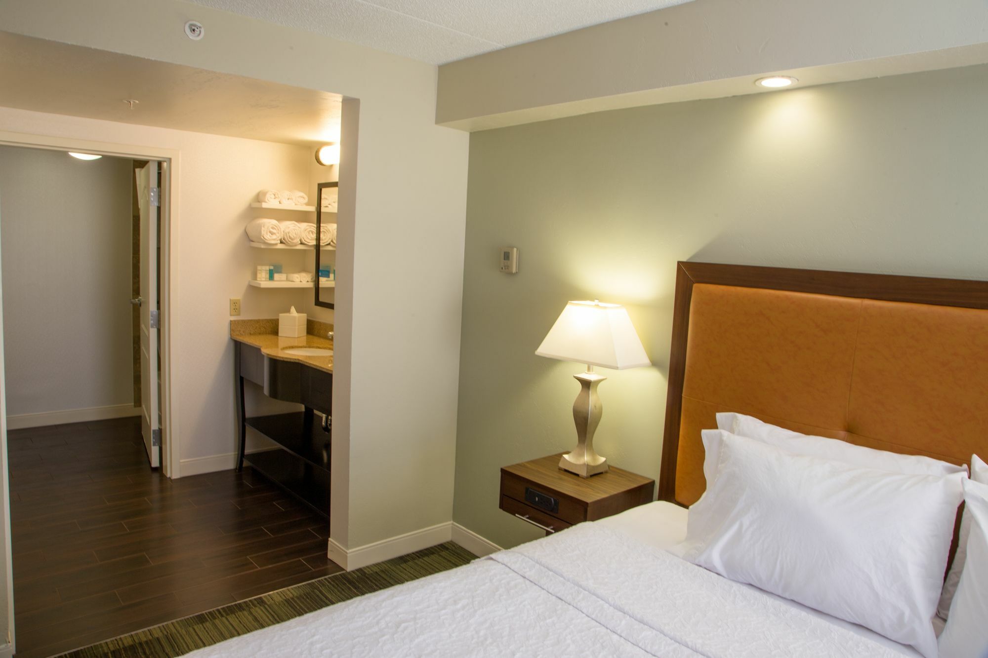 Hampton Inn & Suites Albany-Downtown Bagian luar foto